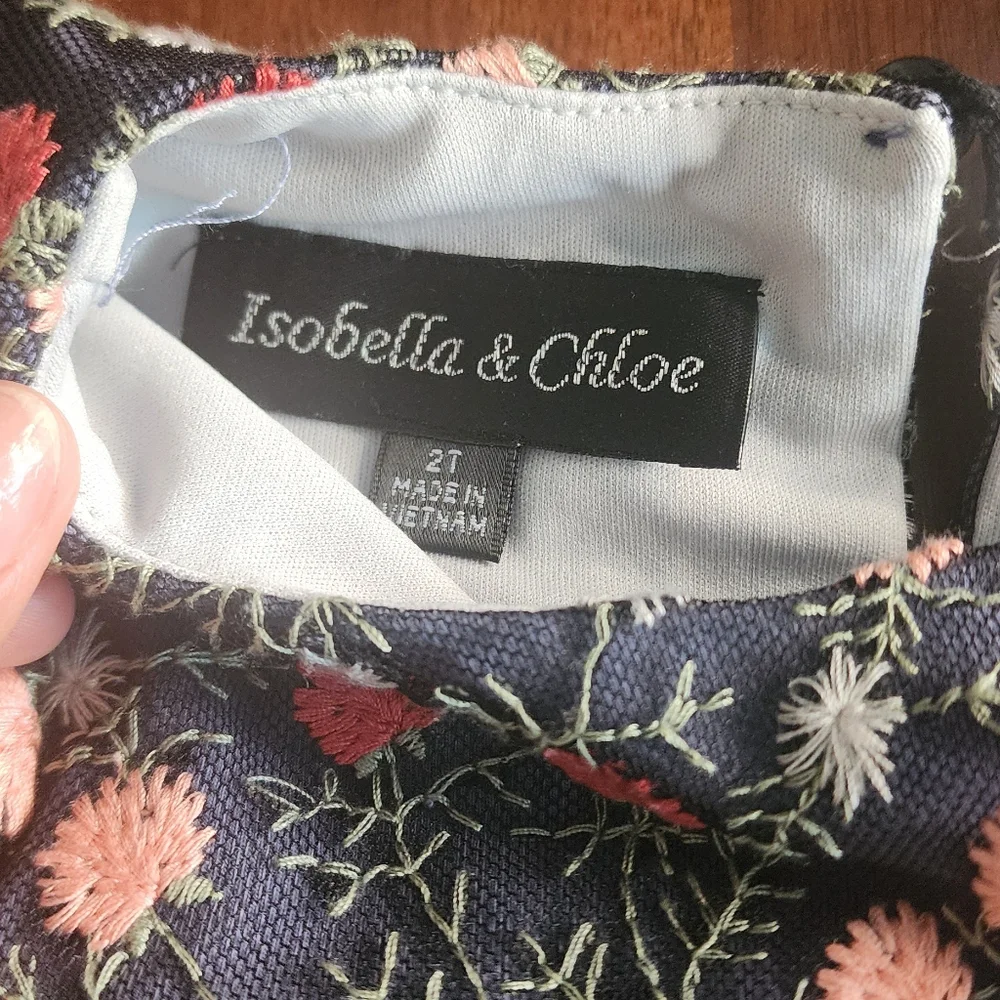 NWT Isobella & Chloe Embroidery‎ Floral Mesh Dress 2T